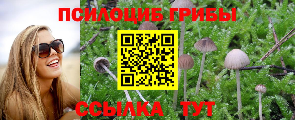 Галлюциногенные грибы мицелий Южноуральск